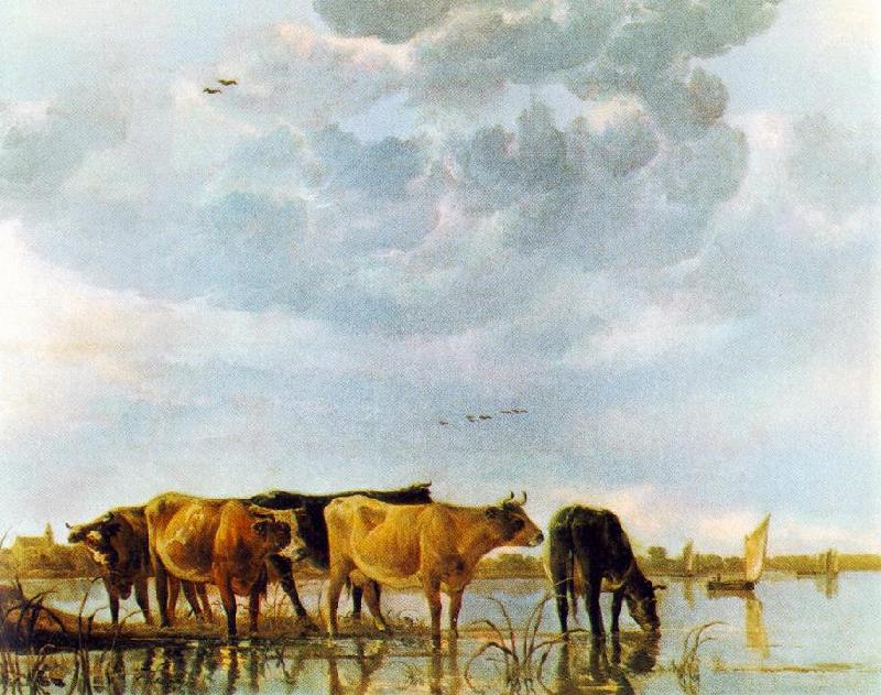 CUYP, Aelbert Cows in the Water oil painting image